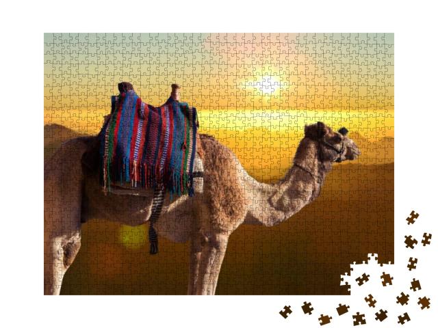 Puzzle 1000 Teile „Dromedar-Kamel vor dem Berges des heiligen Moses, Ägypten, Sinai“