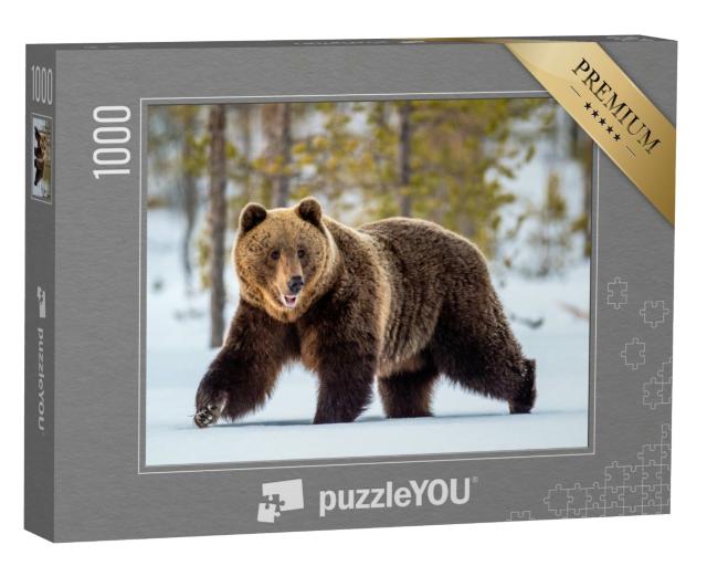 Puzzle 1000 Teile „Wilder erwachsener Braunbär streift durch den Winterwald“