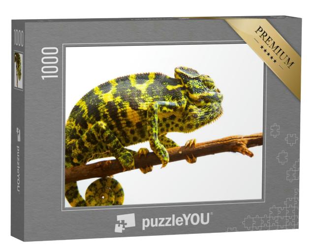 Puzzle 1000 Teile „Gewöhnliches Chamäleon“