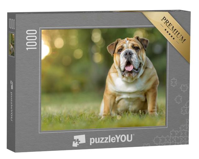 Puzzle 1000 Teile „Englische Bulldogge“