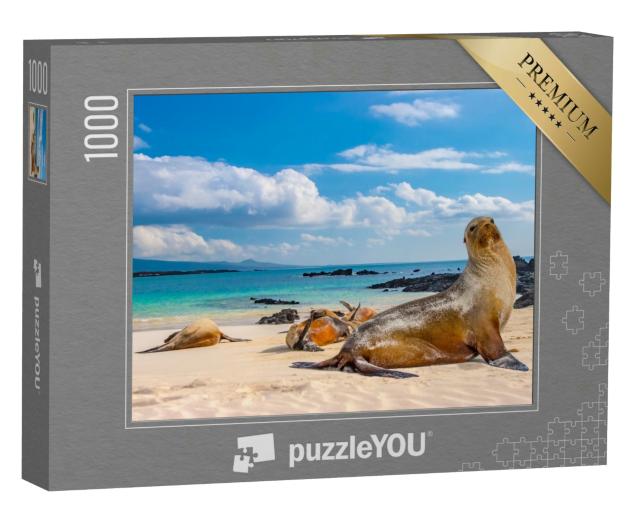 Puzzle 1000 Teile „Robben am Strand der Galapagos-Inseln, Ecuador“