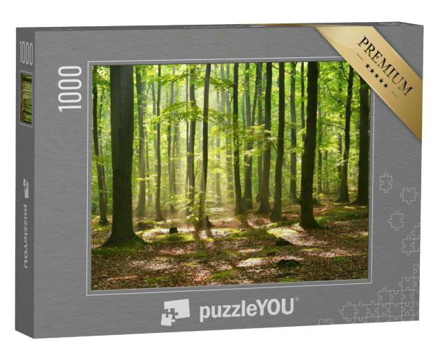 Puzzle 1000 Teile „Herbstdämmerung in einem mystischen Zauberwald“