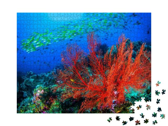 Puzzle 1000 Teile „Rote Koralle und Schwarm von Korallenfischen“