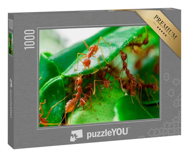 Puzzle 1000 Teile „Ameisen auf einem grünen Blatt“