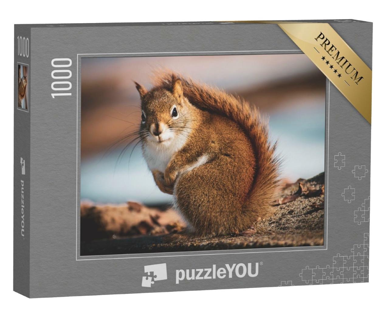 Puzzle 1000 Teile „Kleines Eichhörnchen im Wald“