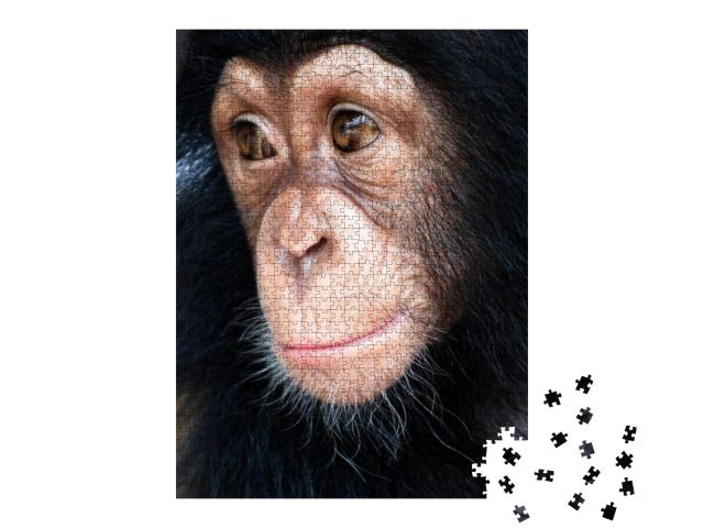 Puzzle 1000 Teile „Nahaufnahme von Mixed-Breed-Affe“