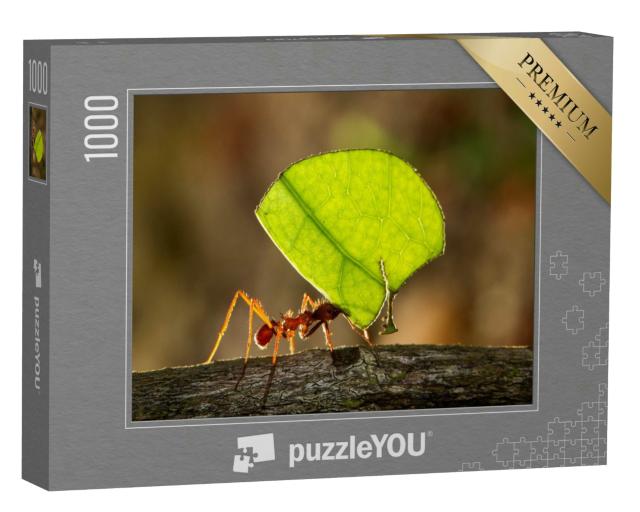 Puzzle 1000 Teile „Blattschneiderameise trägt ein Blatt zu ihrem Nest“