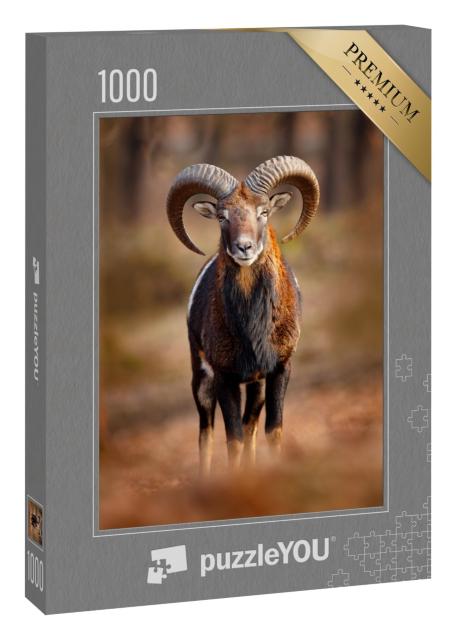 Puzzle 1000 Teile „Mufflon, Säugetier mit großen Hörnern, Prag“