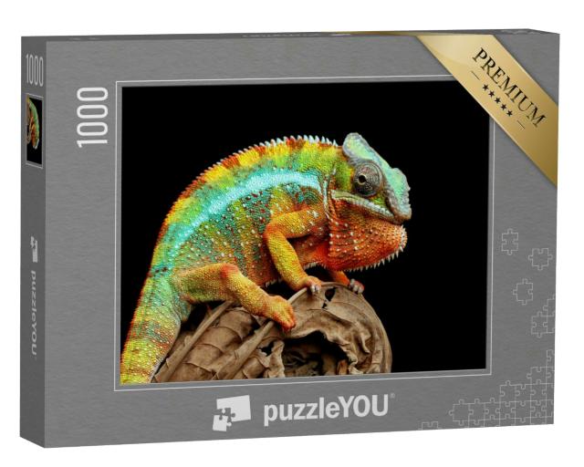 Puzzle 1000 Teile „Chamäleon Panther auf trockenen Blättern“