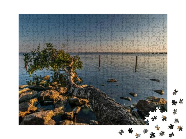Puzzle 1000 Teile „Natur am Steinhuder Meer“