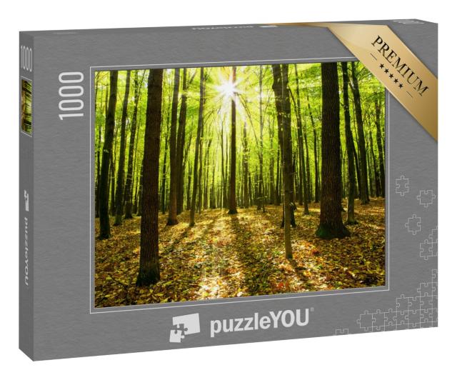 Puzzle 1000 Teile „Herbstwald mit Bäumen und Sonnenlicht“