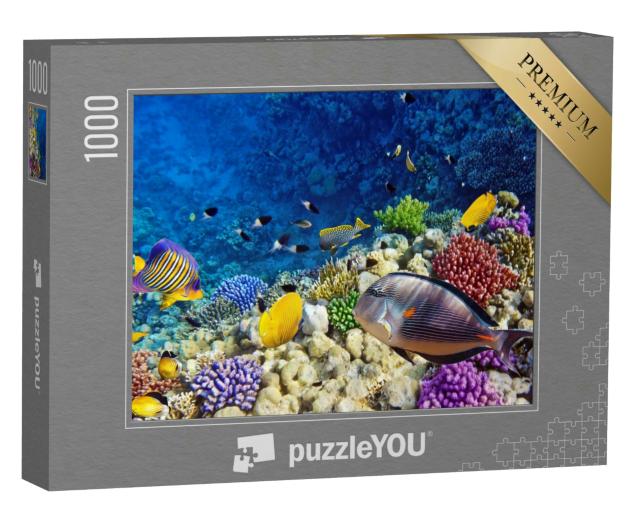 Puzzle 1000 Teile „Farbenfrohe Korallen und Fische im Roten Meer bei Ägypten“