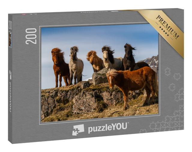 Puzzle 200 Teile „Eine Herde von Island-Pferden im rauhen Wind“