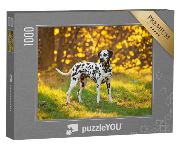 Puzzle 1000 Teile „Dalmatiner bei Sonnenuntergang“