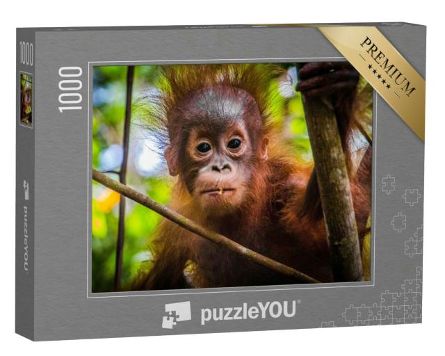 Puzzle 1000 Teile „Das niedlichste Orang-Utan-Baby der Welt blickt in Borneo in die Kamera“