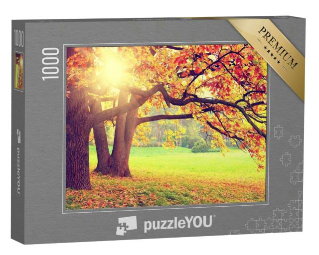 Puzzle 1000 Teile „Herbstlandschaft mit alten Bäumen“