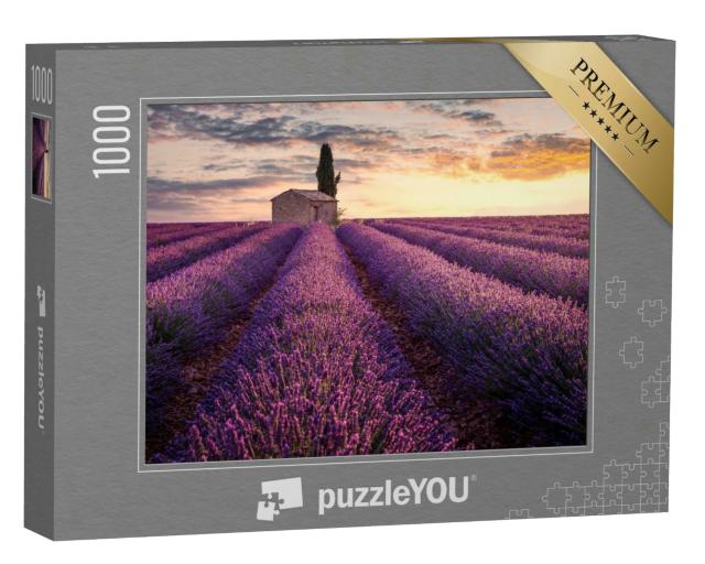 Puzzle 1000 Teile „Ein kleines Haus inmitten von Lavendelfeldern“
