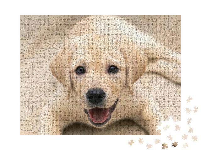Puzzle 1000 Teile „Liebenswerter goldener Labrador-Welpe in Nahaufnahme“