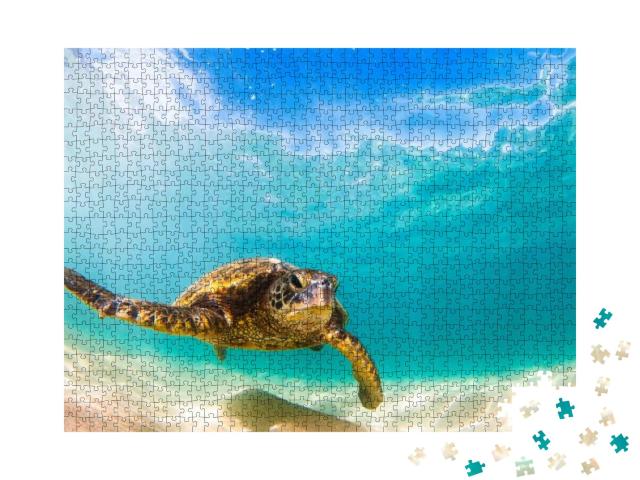 Puzzle 1000 Teile „Grüne Meeresschildkröte, Hawaii“