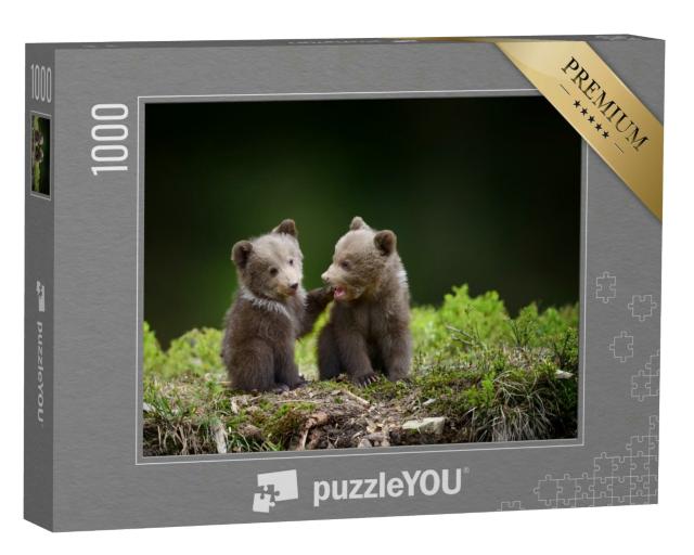 Puzzle 1000 Teile „Zwei kleine Bärenbabys im Wald“