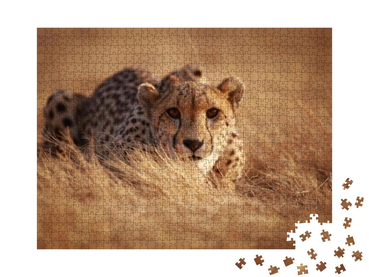 Puzzle 1000 Teile „Gepard, bereit zum Sprung“
