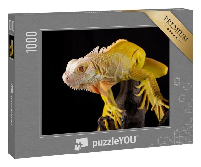 Puzzle 1000 Teile „Gelber Leguan“