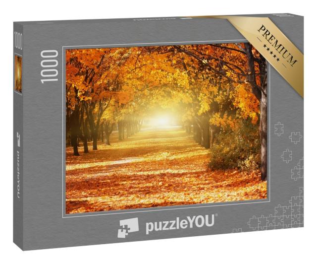 Puzzle 1000 Teile „Allee aus goldenen Herbstbäumen“