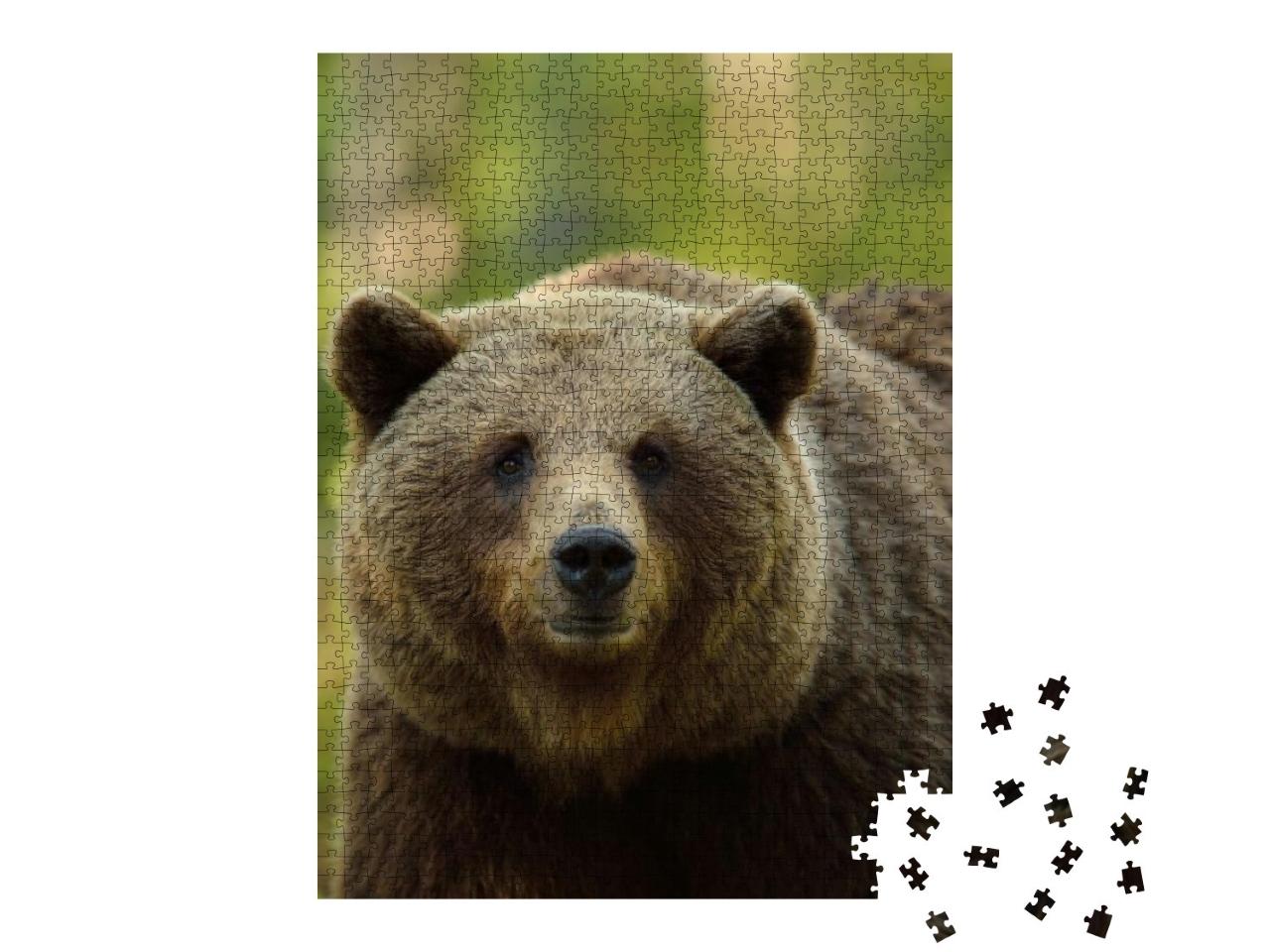 Puzzle 1000 Teile „Der Braunbär im Wald“