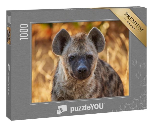 Puzzle 1000 Teile „Junge Hyäne im Abendlicht“