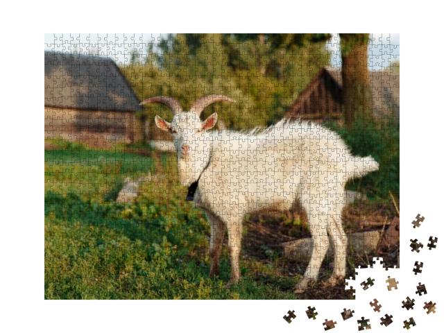 Puzzle 1000 Teile „Weiße Ziege auf dem Bauernhof im Sommer“
