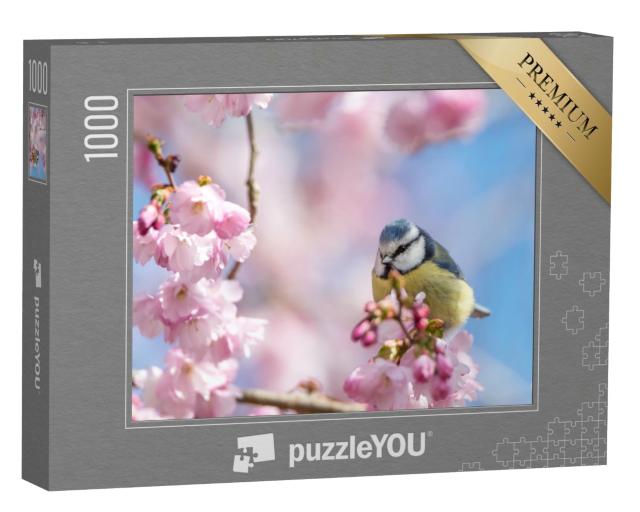Puzzle 1000 Teile „Eine Blaumeise sitzt auf einem schönen Zweig mit Kirschblüten“