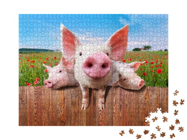 Puzzle 1000 Teile „Junge Schweine auf dem Bauernhof schauen über den Zaun“