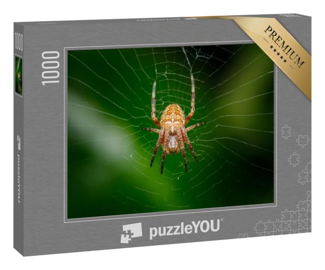 Puzzle 1000 Teile „Nahaufnahme einer Kreuzspinne, auch bekannt als Diademspinne“