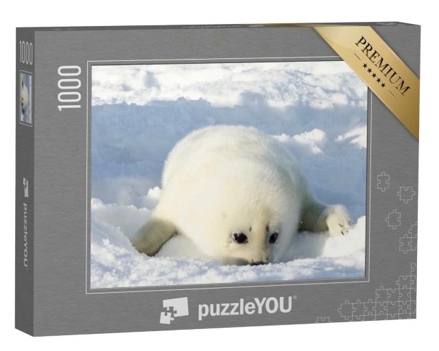Puzzle 1000 Teile „Neugeborene, flauschig-weiße Robbe“