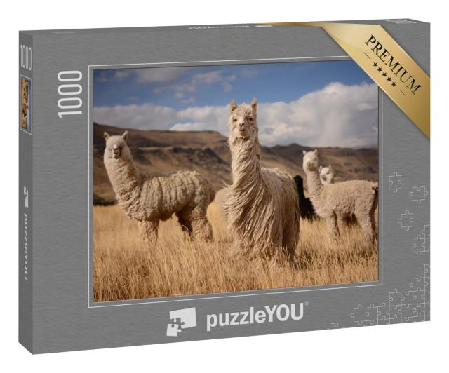 Puzzle 1000 Teile „Alpakas in den peruanischen Anden“