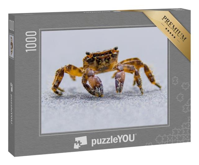 Puzzle 1000 Teile „Strandkrabbe beim Spaziergang am Meer“
