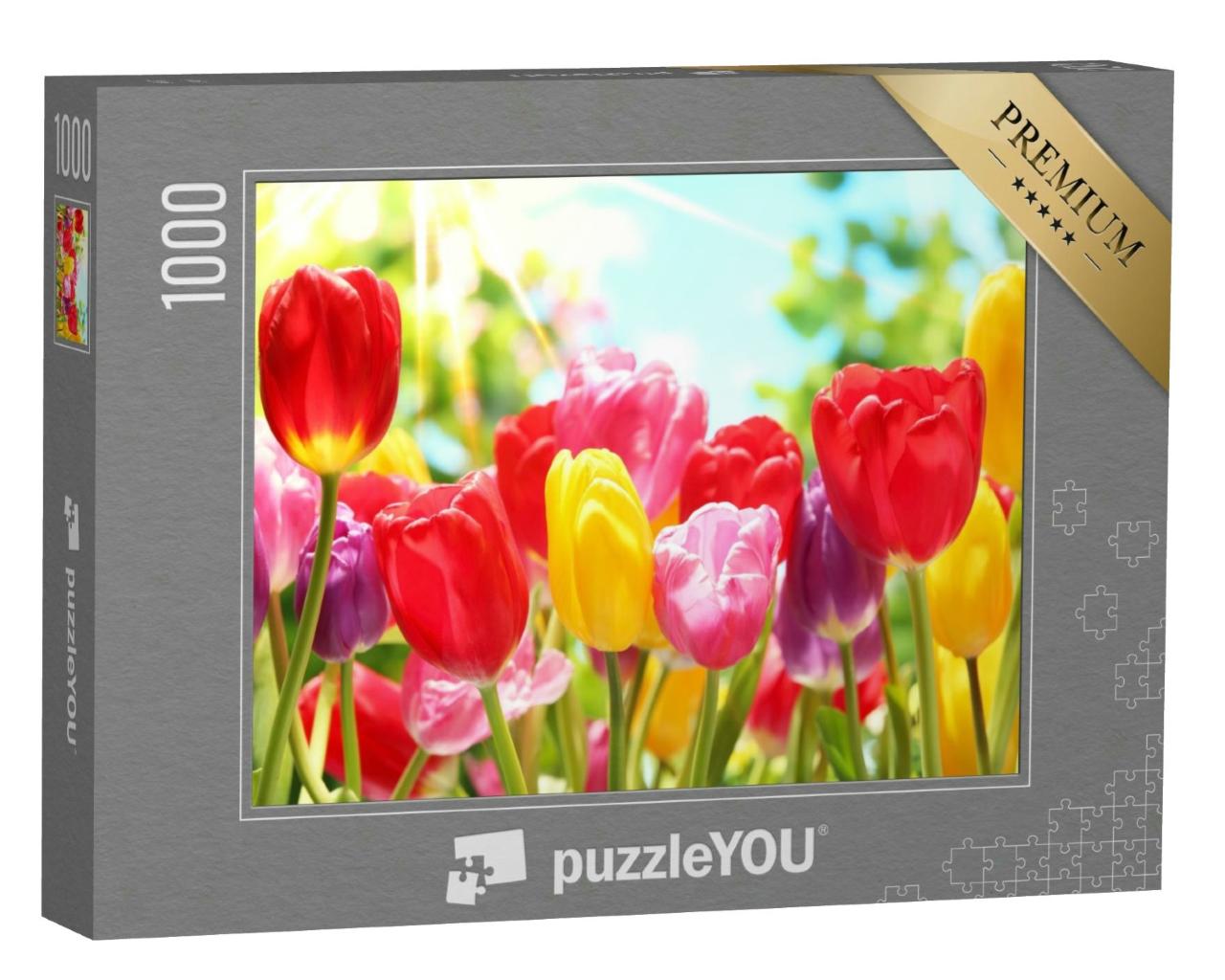 Puzzle 1000 Teile „Bunte Tulpen im warmen Sonnenlicht“