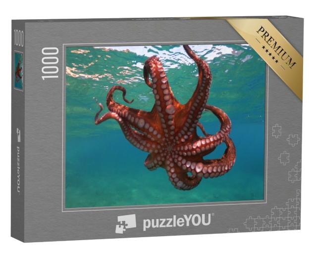 Puzzle 1000 Teile „Oktopusse schwimmen in tropischer Bucht“