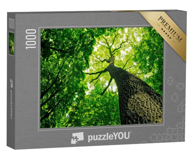Puzzle 1000 Teile „Naturwald“