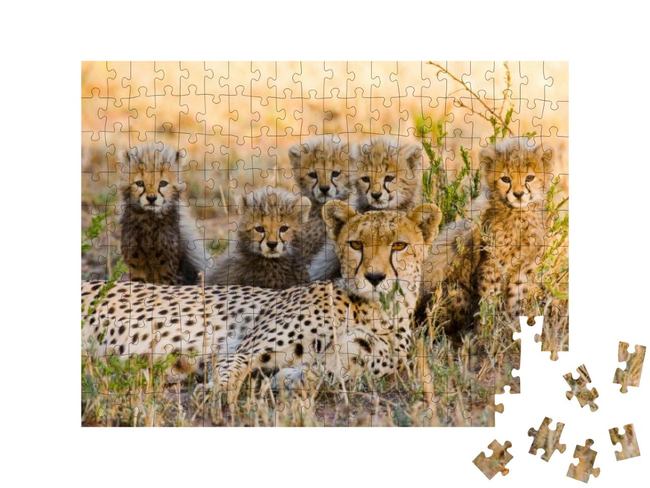 Puzzle 200 Teile „Gepardenmutter und ihre Jungtiere in der Savanne, Kenia“