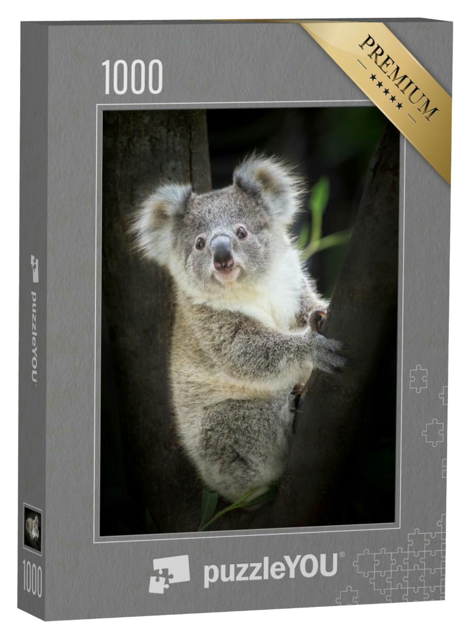 Puzzle 1000 Teile „Koala im Zoo“