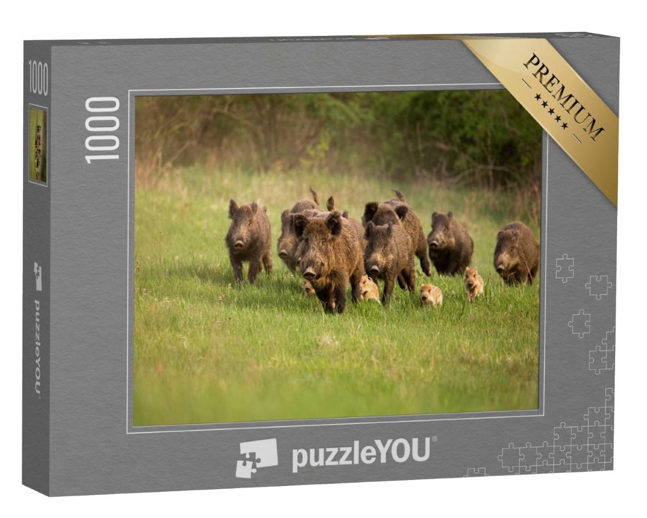 Puzzle 1000 Teile „Gruppe von Wildschweinen im Frühling“