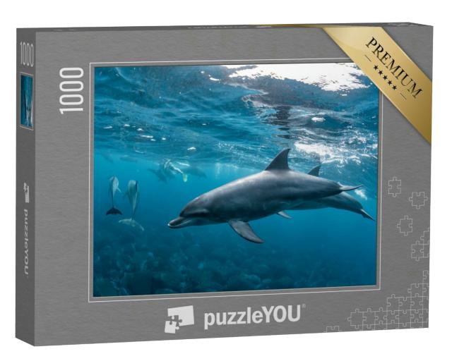 Puzzle 1000 Teile „Delfine auf dem Mikurajima in Tokio, Japan“