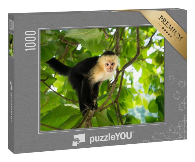 Puzzle 1000 Teile „Weißkopfkapuzineräffchen, Manuel Antonio, Regenwald von Costa Rica“