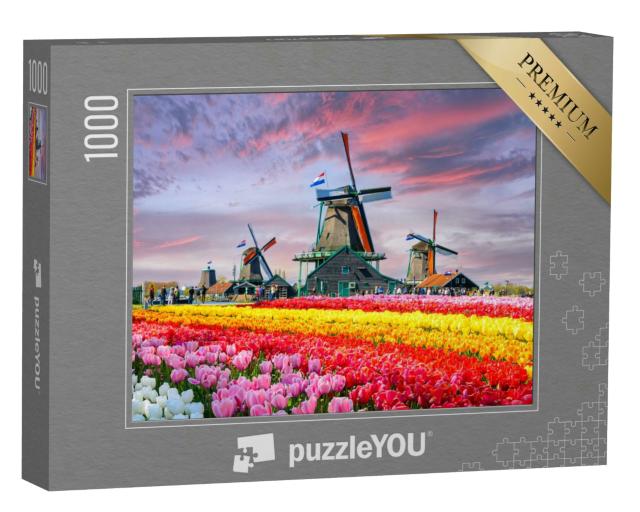 Puzzle 1000 Teile „Landschaft mit Tulpen und traditionellen holländischen Windmühlen, Niederlande“