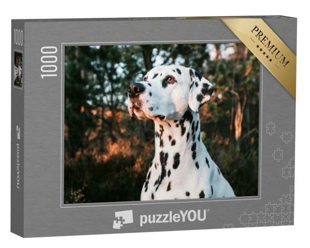 Puzzle 1000 Teile „Ein Dalmatiner beim Sonnenuntergang“