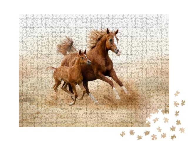 Puzzle 1000 Teile „Reinrassiges arabisches Pferd“