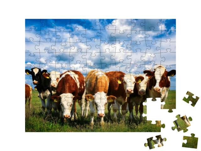 Puzzle 100 Teile „Kühe auf einer grünen Sommerwiese“