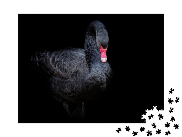 Puzzle 1000 Teile „Schwarzer Schwan “