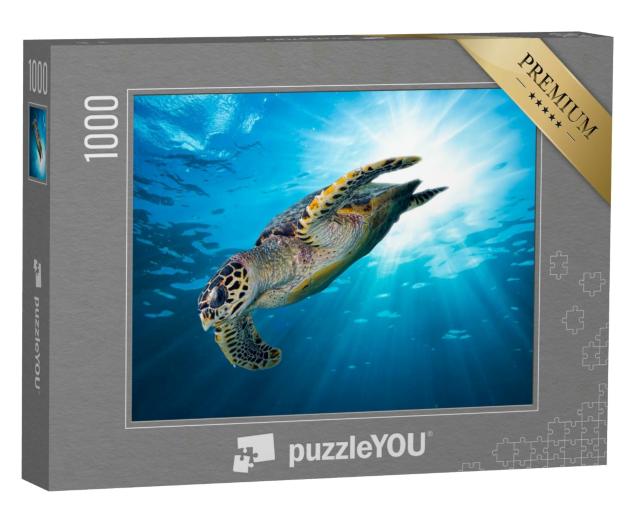 Puzzle 1000 Teile „Falkenschnabel Meeresschildkröte im tiefblauen Ozean“